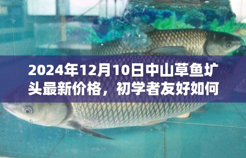 2024年12月10日中山草鱼圹头最新价格及获取指南