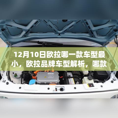 欧拉车型解析，12月10日哪款最小车型最受瞩目？