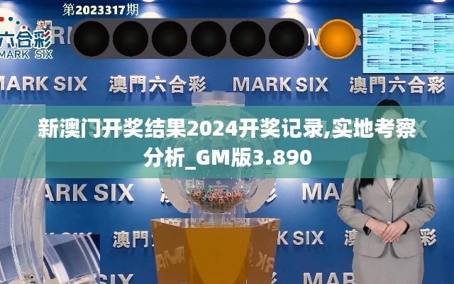 新澳门开奖结果2024开奖记录,实地考察分析_GM版3.890