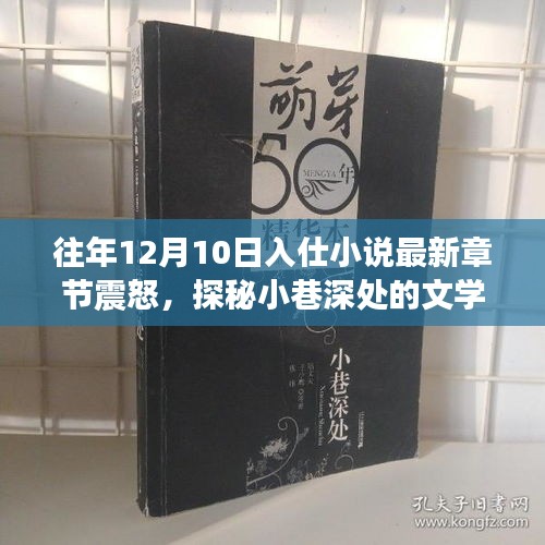 探秘文学秘境，入仕小说特色小店的隐藏日常与最新章节震怒