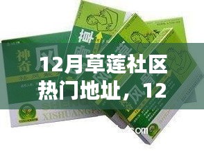 12月草莲社区热门地址产品全面评测与介绍，一站式了解社区热门产品