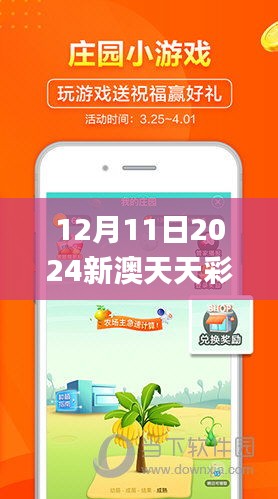 12月11日2024新澳天天彩免费资料大全查询,创新性执行策略规划_VR9.660