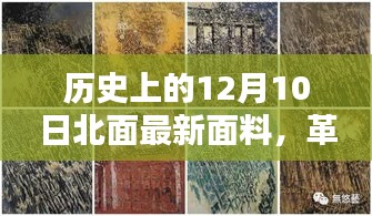 12月10日北面最新面料发布，革命性科技新品引领未来生活革新