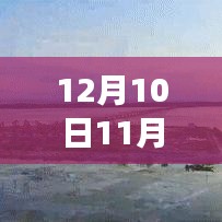 新能源崛起，驾驭变革之舟的学习之旅（12月学习实录）