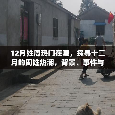 探寻十二月周姓热潮，背景、事件与影响全解析