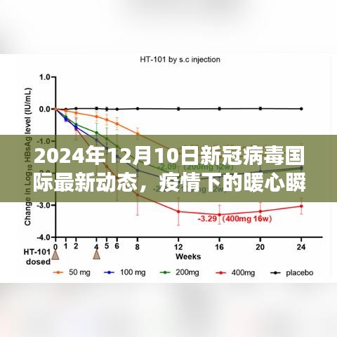 2024年12月12日 第31页