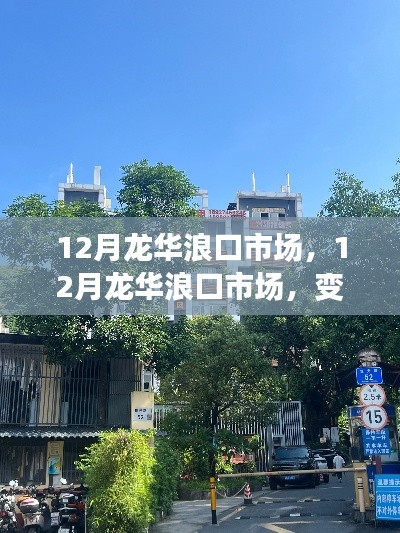 12月龙华浪口市场，变化中的学习之旅，自信与成就感的培育地