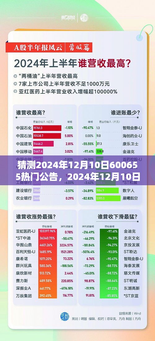 2024年12月10日热门公告预测与解析，展望600655的猜测与观点阐述