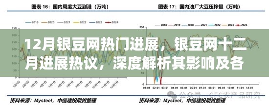 深度解析，银豆网十二月进展热议与各方观点及其影响