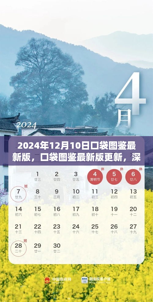 2024年口袋图鉴最新版深度解析，优势与挑战一览