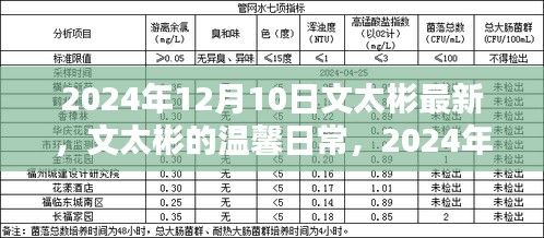 文太彬的温馨日常，2024年12月10日的快乐时光