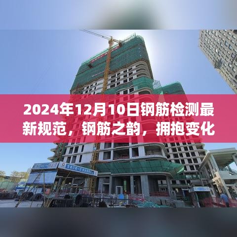 揭秘钢筋检测最新规范的力量与魅力，拥抱变化，成就梦想（2024年最新版）