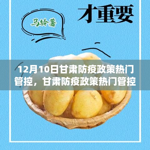 甘肃防疫政策深度评测报告，特性解析、使用体验与优劣分析标题，甘肃防疫政策热门管控评测报告出炉，全面解读政策特性与优劣分析