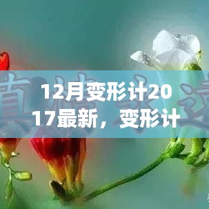 变形计下的暖心日常，12月友情魔法2017最新