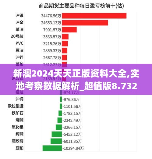 新澳2024天天正版资料大全,实地考察数据解析_超值版8.732