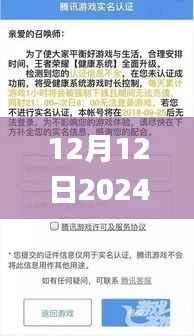 12月12日2024澳门天天开好彩大全53期,实地执行数据分析_工具版2.593