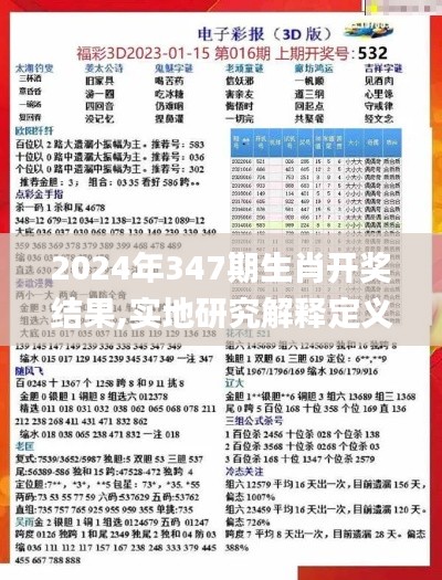 2024年347期生肖开奖结果,实地研究解释定义_黄金版18.277