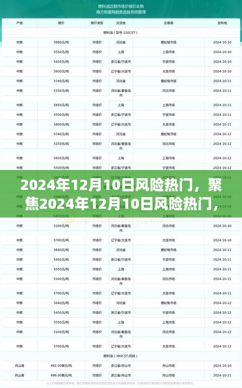 聚焦风险热门，多维度解读风险挑战，2024年12月风险趋势分析