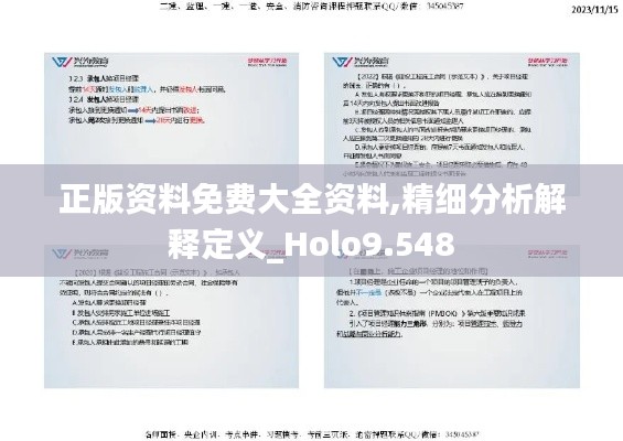 正版资料免费大全资料,精细分析解释定义_Holo9.548