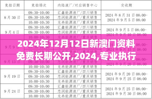 2024年12月12日新澳门资料免费长期公开,2024,专业执行方案_战斗版6.572