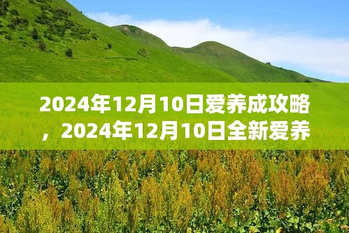 爱养成攻略，掌握智能生活新品体验，尽在2024年12月10日