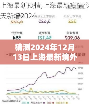 2024年12月13日上海境外输入疫情预测分析