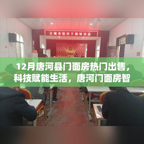 唐河县门面房智能出售体验全新升级，科技赋能生活，热门门面房火热出售