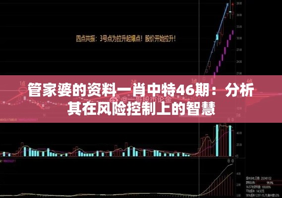 管家婆的资料一肖中特46期：分析其在风险控制上的智慧