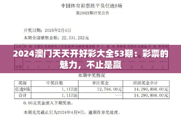 2024澳门天天开好彩大全53期：彩票的魅力，不止是赢