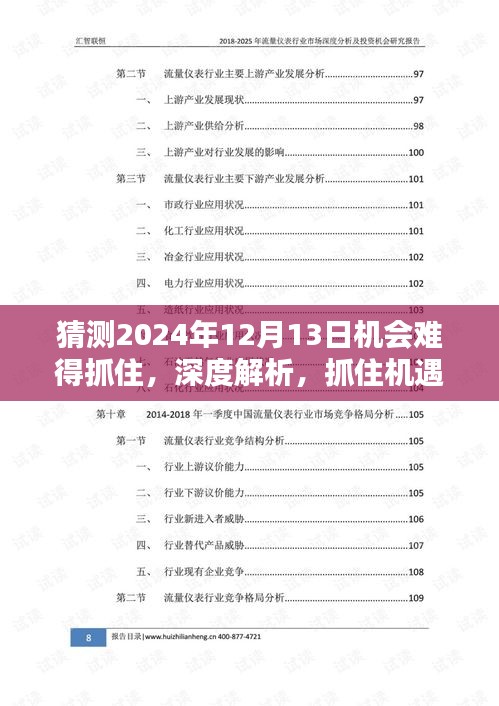 抓住机遇之解析，深度评测报告——揭秘2024年12月13日产品机遇与挑战