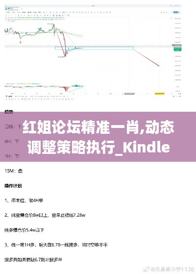 红姐论坛精准一肖,动态调整策略执行_Kindle2.310