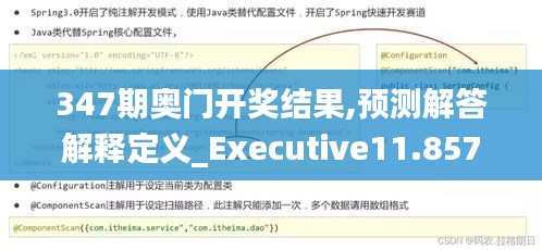 347期奥门开奖结果,预测解答解释定义_Executive11.857