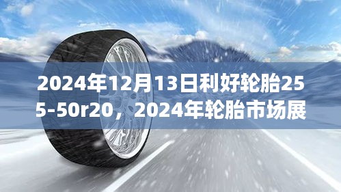 2024年轮胎市场展望，利好趋势下的255-50R20轮胎发展分析