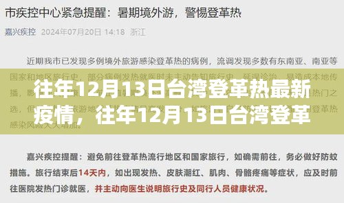 往年12月13日台湾登革热疫情回顾与解析，最新疫情动态概览