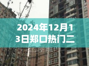 郑口温馨家园奇妙二手房探险之旅，热门房源一览（2024年）