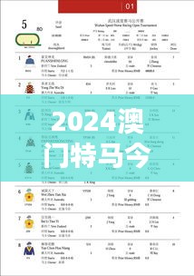 2024澳门特马今348期开奖结果：探究赛马背后的概率学