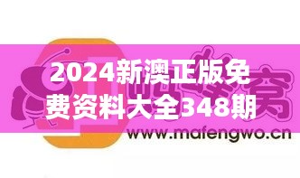 2024新澳正版免费资料大全348期：为你的学习之旅助航