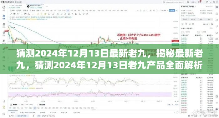 揭秘老九，预测与解析老九产品未来趋势（2024年12月13日版）