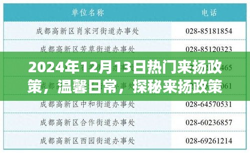 探秘来扬政策下的奇妙友情之旅，最新政策解读与温馨日常分享（2024年）