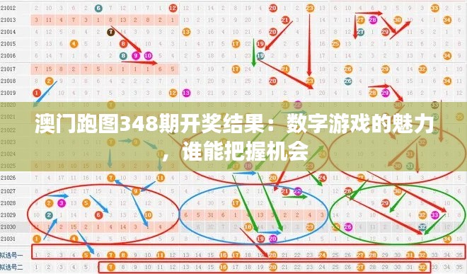 澳门跑图348期开奖结果：数字游戏的魅力，谁能把握机会