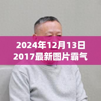 2024年最新图片集评测，霸气展现细节决定品质