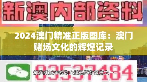 2024澳门精准正版图库：澳门赌场文化的辉煌记录