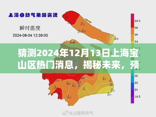 揭秘预测，上海宝山区未来热门新闻动向，2024年12月13日热点前瞻