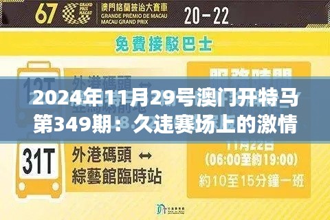 2024年11月29号澳门开特马第349期：久违赛场上的激情与竞争