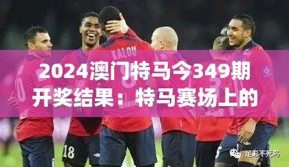 2024澳门特马今349期开奖结果：特马赛场上的黑马与冠军殊荣