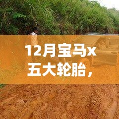 宝马X五大轮胎，探索秘境的心灵之旅，与自然共舞的时刻