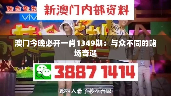 澳门今晚必开一肖1349期：与众不同的赌场奇遇