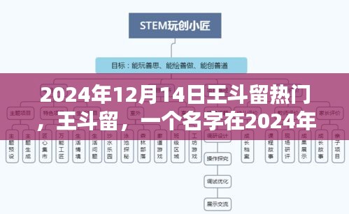 王斗留，闪耀于2024年的名字回响