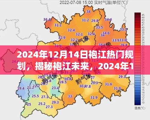 2024年12月14日 第8页