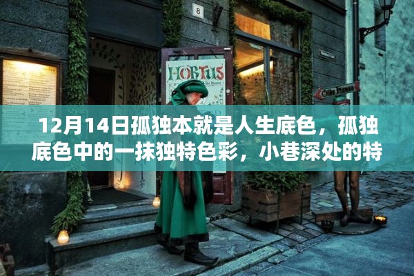 孤独底色中的小巷探秘，特色小店的独特魅力